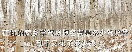 在你的家鄉學駕照報名費是多少駕照拿到手又花了多少錢