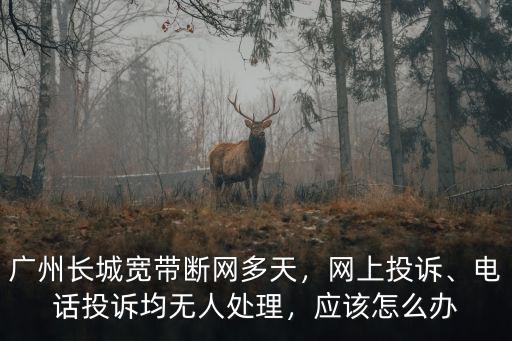 廣州海珠區(qū)長城寬帶電話是多少,廣州長城寬帶斷網(wǎng)多天