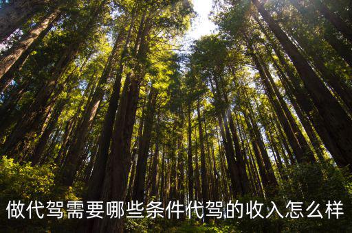 潮州滴滴代駕收入怎么樣,代駕的收入怎么樣