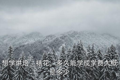 廣州學(xué)烘焙裱花多少錢,裱花好學(xué)還是烘焙好學(xué)