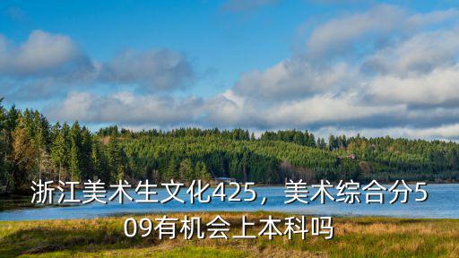 浙江美術(shù)藝術(shù)生文化課多少分,浙江美術(shù)生文化425