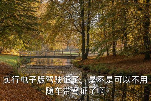 廣東省多少地區(qū)實(shí)行電子駕駛證,開(kāi)車(chē)忘帶駕駛證