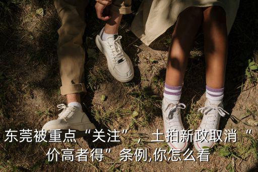 東莞被重點“關注”，土拍新政取消“價高者得”條例,你怎么看