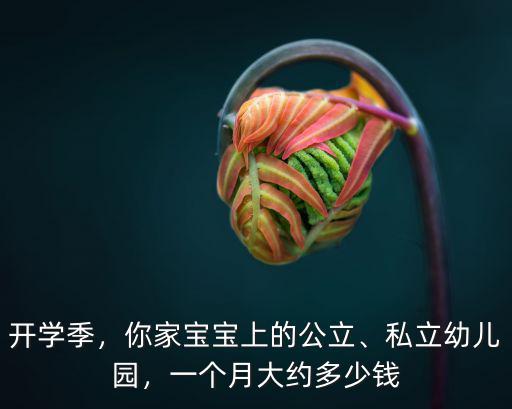 開學季，你家寶寶上的公立、私立幼兒園，一個月大約多少錢
