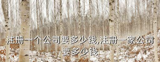 鎮(zhèn)江注冊一個公司要多少錢,注冊一家公司要多少錢