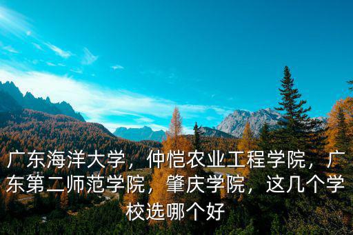 廣東海洋大學，仲愷農業工程學院，廣東第二師范學院，肇慶學院，這幾個學校選哪個好