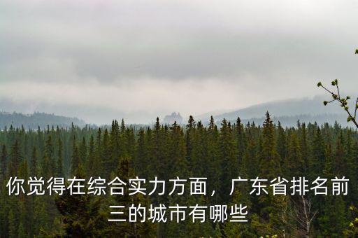 廣東省有多少哪個城市,廣東省排名前三的城市有哪些