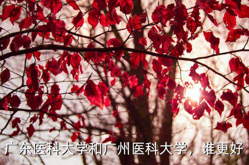 廣東醫(yī)科大學(xué)和廣州醫(yī)科大學(xué)，誰更好