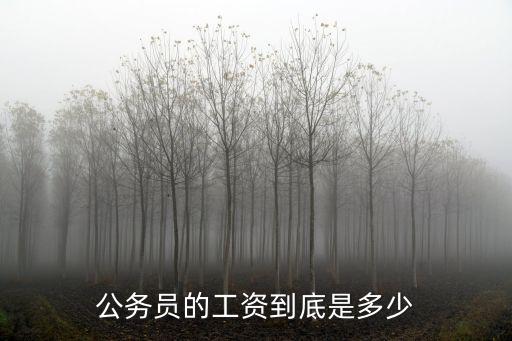青島市公務(wù)員月工資多少,公務(wù)員的工資到底是多少