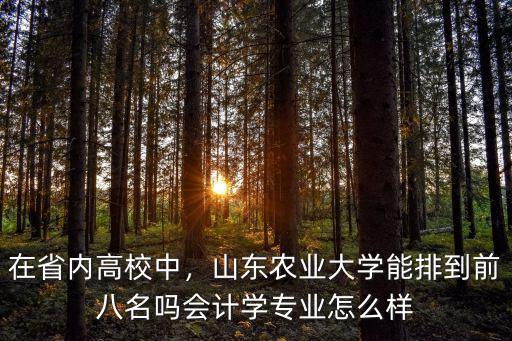 在省內高校中，山東農業大學能排到前八名嗎會計學專業怎么樣