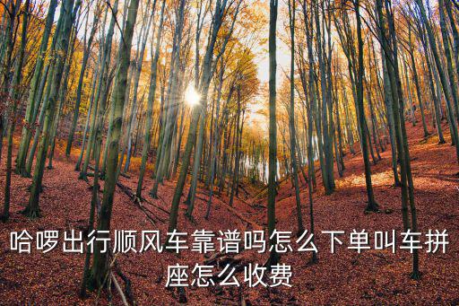 河源出行順風(fēng)車怎么計(jì)費(fèi),哈啰出行順風(fēng)車靠譜嗎