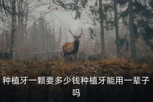 梅州市種植牙需多少,種植牙一顆要多少錢