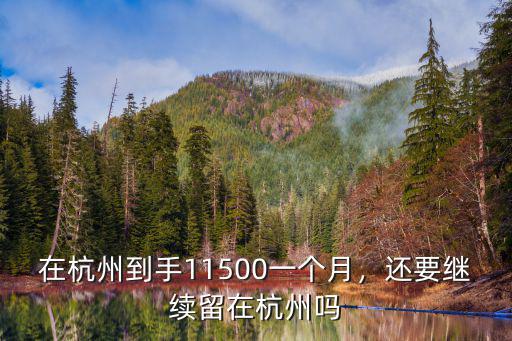 杭州一個月能開銷多少,在杭州到手11500一個月