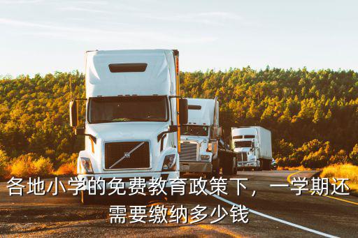 各地小學(xué)的免費教育政策下，一學(xué)期還需要繳納多少錢