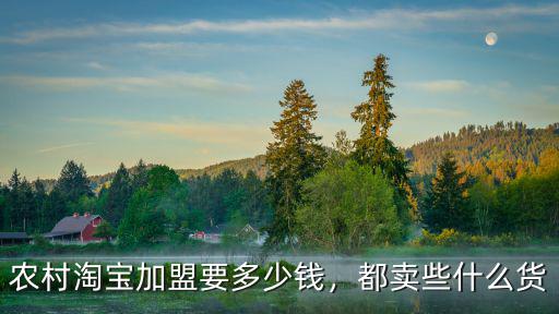 農村淘寶加盟要多少錢，都賣些什么貨