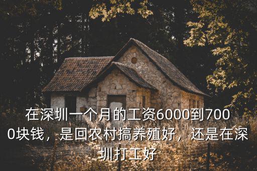 在深圳一個(gè)月的工資6000到7000塊錢，是回農(nóng)村搞養(yǎng)殖好，還是在深圳打工好