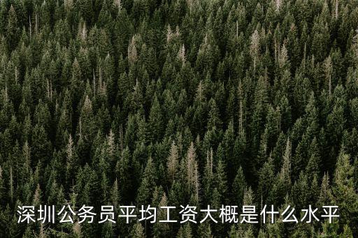 深圳公務員平均工資大概是什么水平