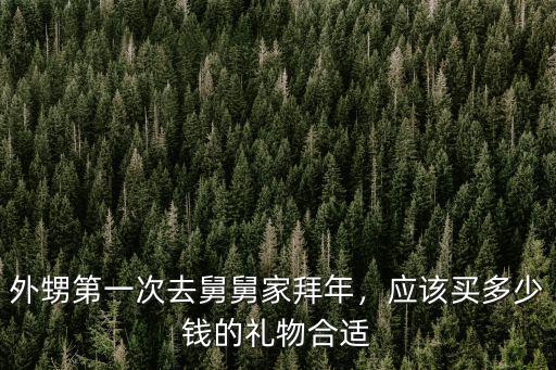 外甥第一次去舅舅家拜年，應該買多少錢的禮物合適