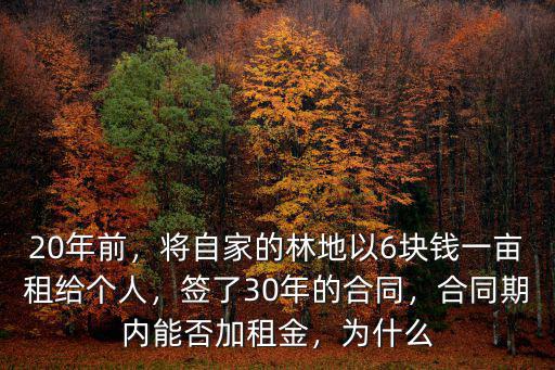 在韶關市范圍內租用林地多少錢一畝,現在租用山林需要多少錢一畝