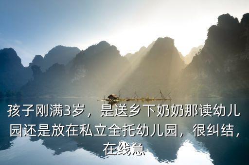 孩子剛滿3歲，是送鄉下奶奶那讀幼兒園還是放在私立全托幼兒園，很糾結，在線急