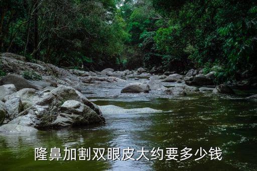 隆鼻多少錢杭州美萊精選,隆鼻整形多少錢