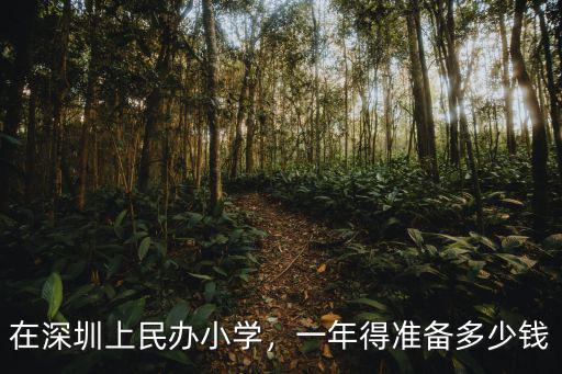 在深圳上民辦小學，一年得準備多少錢