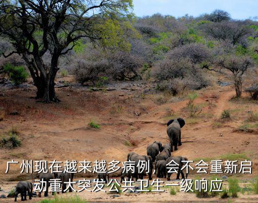廣東省廣州新增病例人數多少,廣州現在越來越多病例