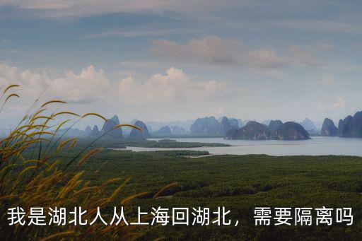 我是湖北人從上海回湖北，需要隔離嗎