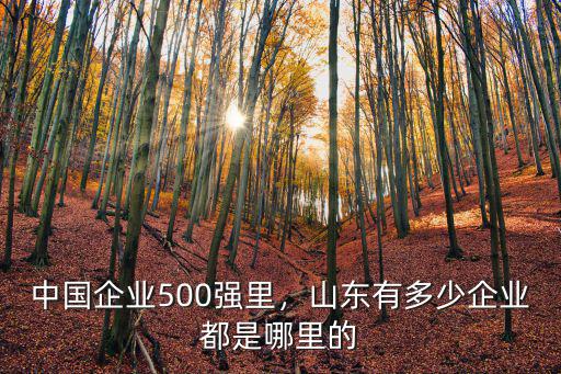 濟南五百強企業有多少,中國企業500強里