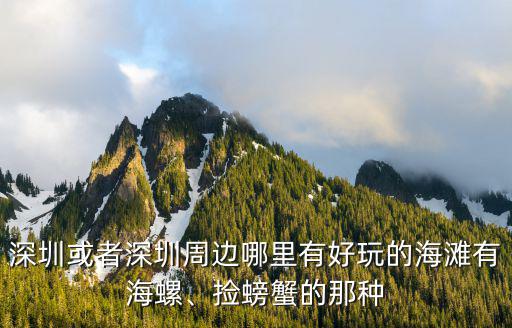 深圳或者深圳周邊哪里有好玩的海灘有海螺、撿螃蟹的那種