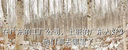 在廣東的工廠公司，上班的廣東人好少，他們都去哪里了