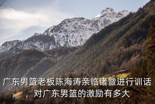 廣東男籃老總資產多少,對廣東男籃的激勵有多大
