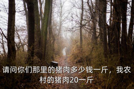 潮州東鳳市場豬肉多少錢一斤,廣東豬肉現在多少錢一斤