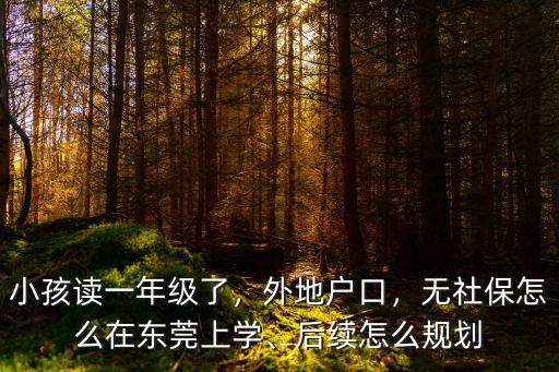在東莞市居住的小孩怎么上學,后續怎么規劃
