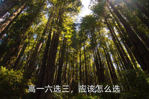 高一六選三，應該怎么選