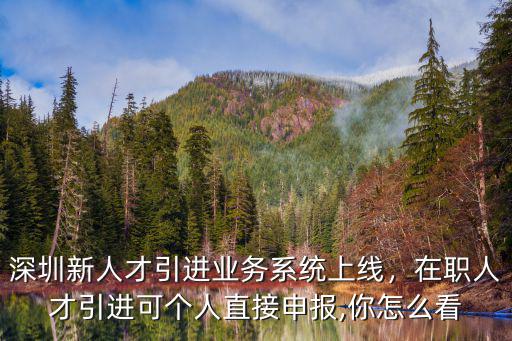 深圳新人才引進業務系統上線，在職人才引進可個人直接申報,你怎么看