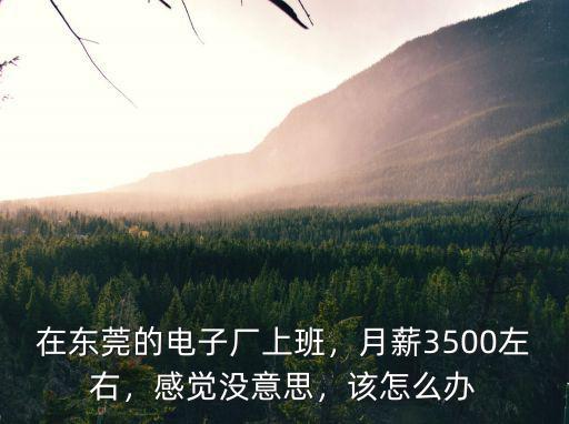 在東莞的電子廠上班，月薪3500左右，感覺沒意思，該怎么辦