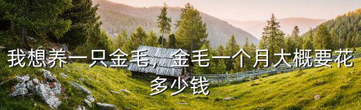清遠(yuǎn)一只金毛要多少錢,一只金毛大概多少錢