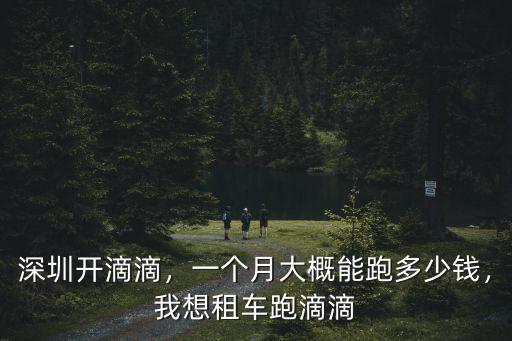 深圳開滴滴租車怎么做預算,現在去深圳租車跑滴滴