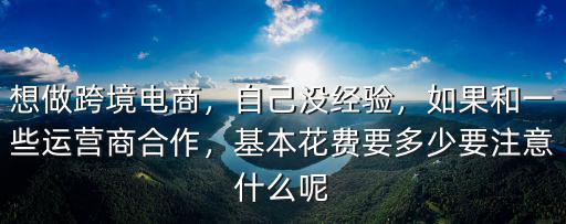 廣州跨境電商運營商合作怎么收費,想做跨境電商