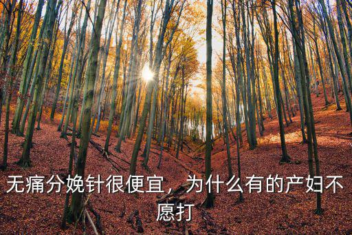 無痛分娩針很便宜，為什么有的產婦不愿打