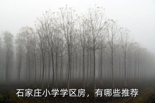 石家莊中山路小學(xué)多少學(xué)生,石家莊小學(xué)學(xué)區(qū)房
