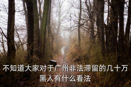 廣州非法滯留有多少人,廣州有多少黑人