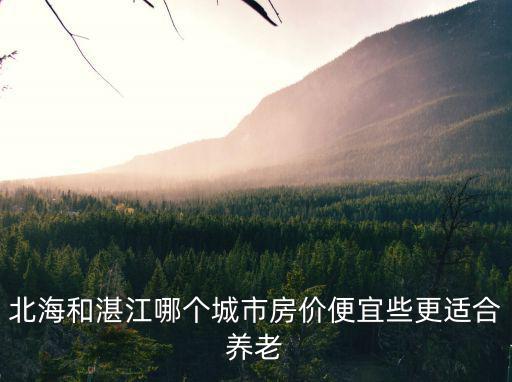 北海和湛江哪個城市房價便宜些更適合養老