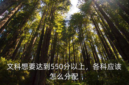 文科想要達到550分以上，各科應該怎么分配