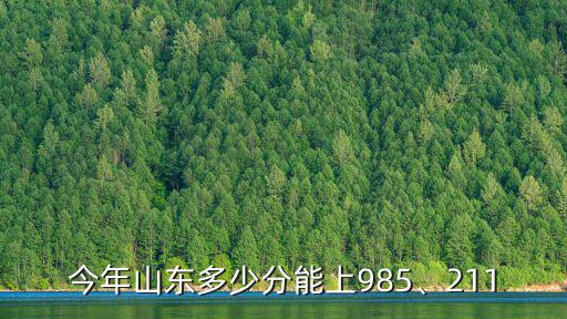 今年山東多少分能上985、211