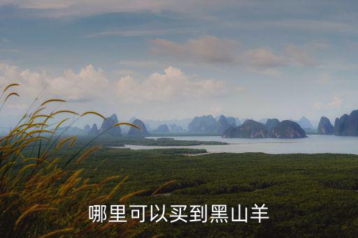 哪里可以買到黑山羊