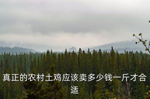 泰安柴雞多少錢一斤,現(xiàn)在土雞價格多少錢一斤