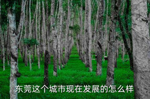 東莞制造業現在怎么樣,東莞現在的經濟怎么樣