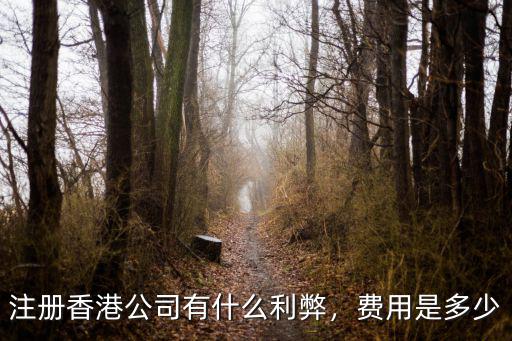 注冊香港公司有什么利弊，費用是多少